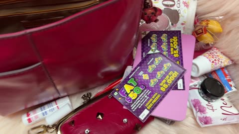 What's in my Hobo Small Render Crossbody Bag in Claret.