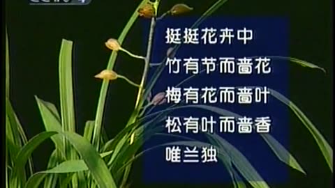 China Central TV CCTV3 September 16, 2001 130pm-200pm CST