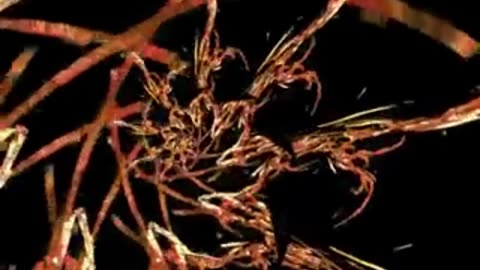 ElectricFlockis Study Focus Beats