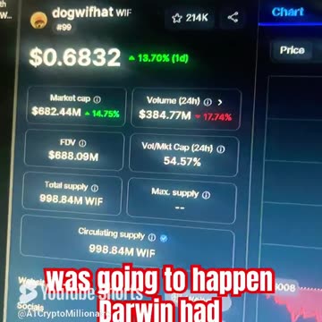 dogwifhat daily 13% price prediction crypto news today #fyp