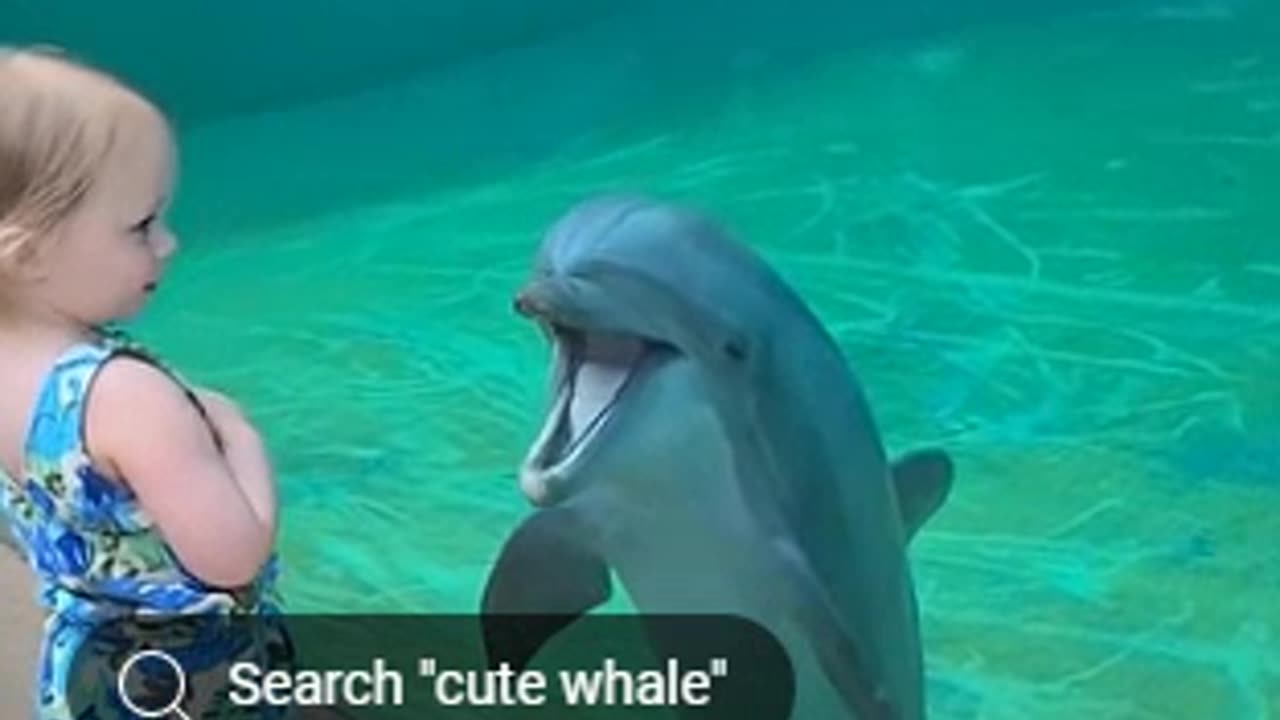 dolphin speaks to child