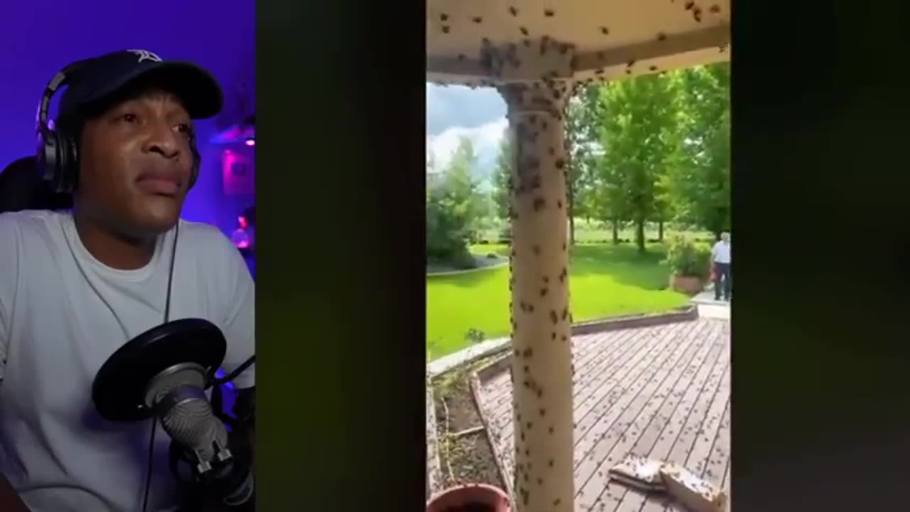 I Wasn't Ready For These Mysterious Videos!