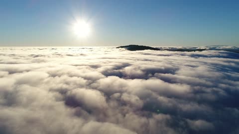 Filho meu - Tonny Sabetta Legendado