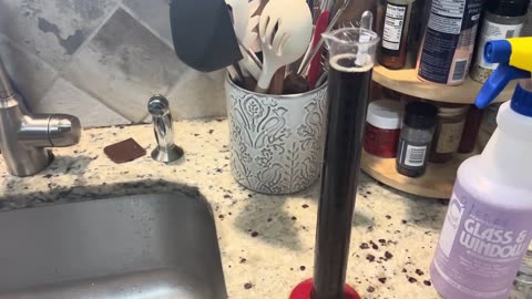 Getting the Innsmouth Porter in the keg!