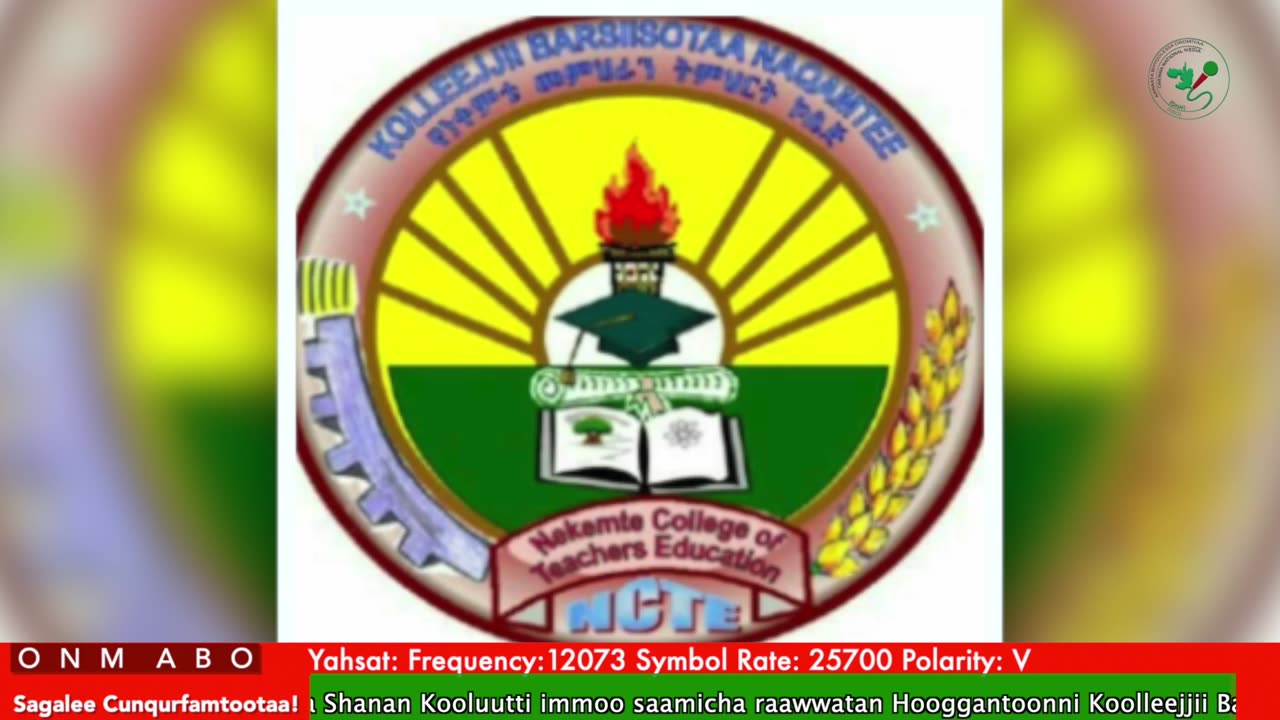 Oduu Waaree ONM-ABO Fulbaana 30-2025 itti dhiyaadhaa!