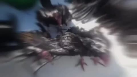 Birds Fall From Sky