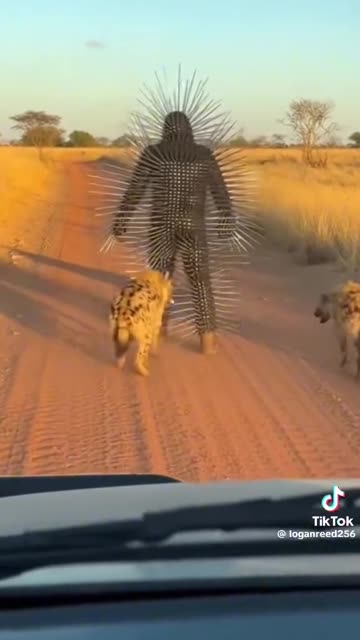 Bite Me, I Dare You!