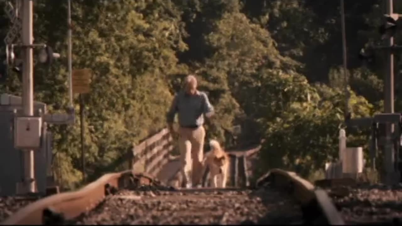 Hatchi A Dog's Tale【2009 film】Trailers