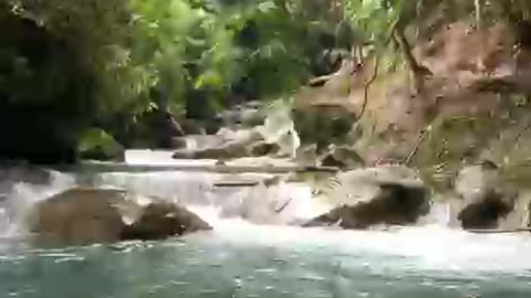 free somersault