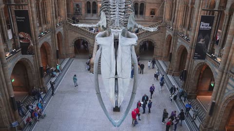 25 Weird and Wonderful Museums You Must Visit!