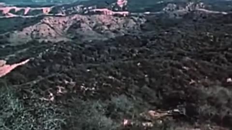 "DESIGN FOR DISASTER" (1961 Documentary on LA Wildfire)