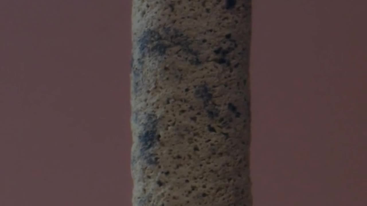 Daily Horoscope | Aries 🌟