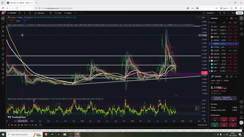 Buy Altcoins Unpopular opinion