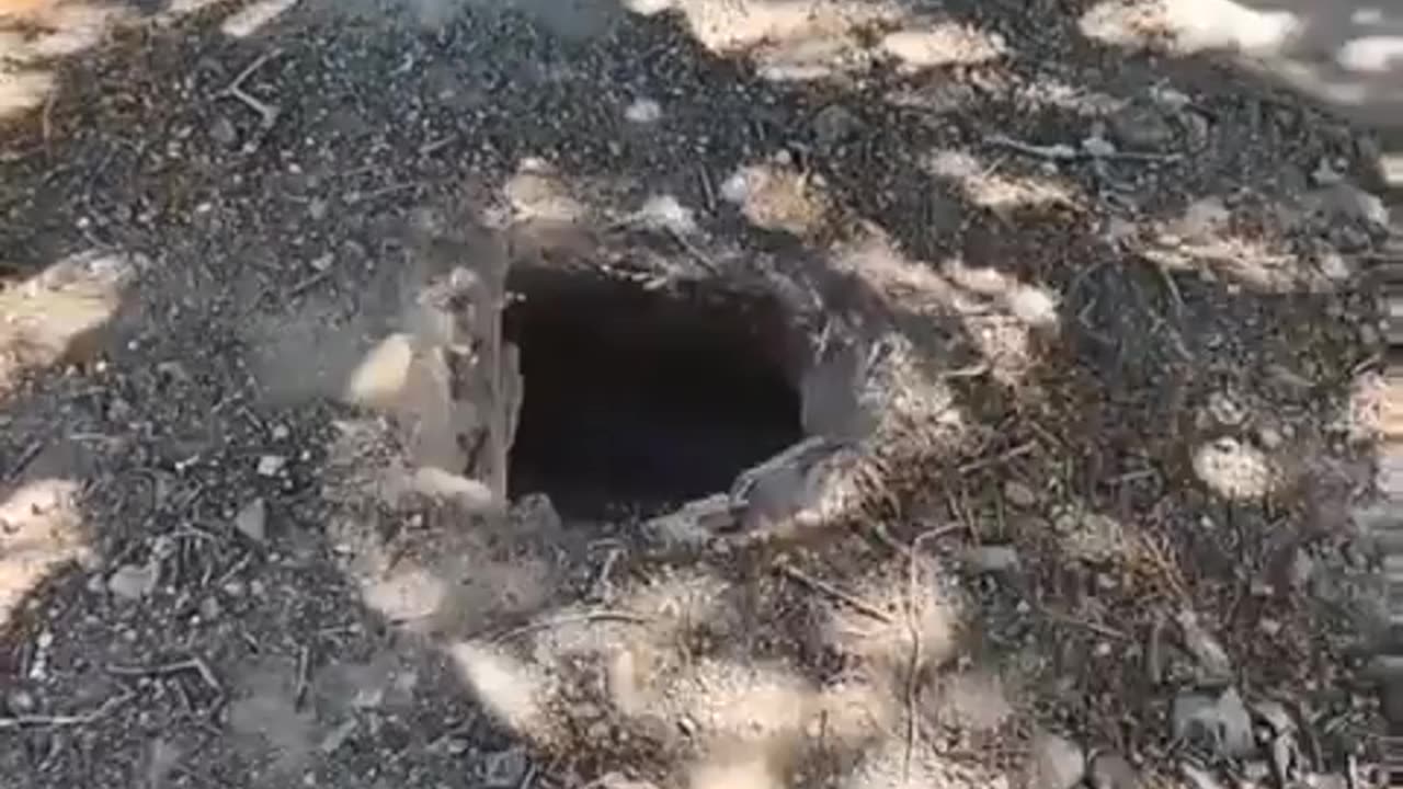 😨🧟‍♂️ Is This the Scariest Thing You've Ever Seen? | TheHauntingHour