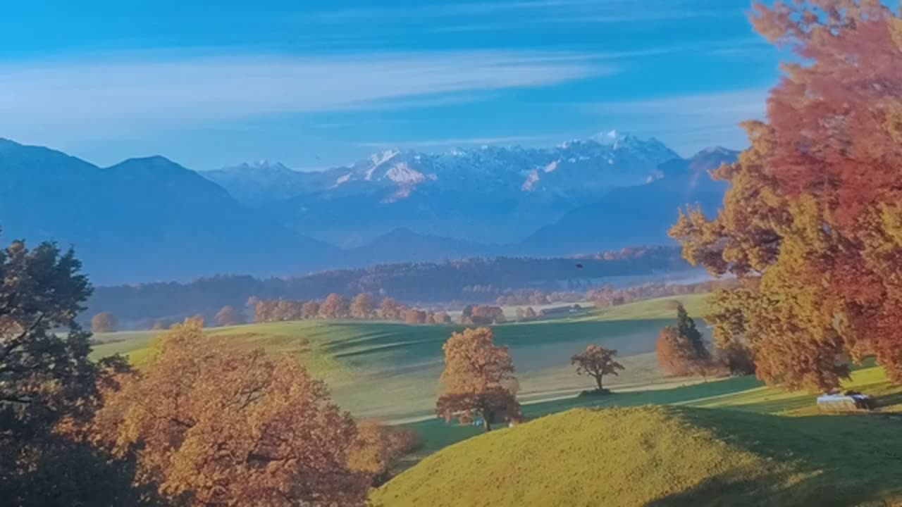 110225 PROPHESY ROOT - WILLIAM BROOKS