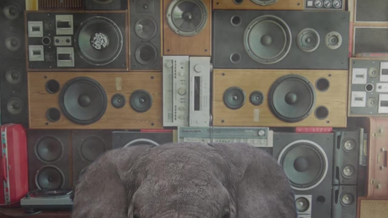 D-Styles Elephants In The Room