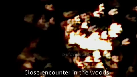 🛸😱 Witnesses Capture Mysterious Object with Pulsating Lights! | TheTruthAbove