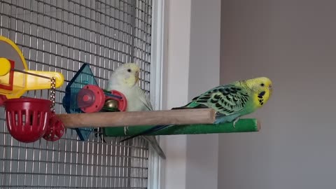 Linden & Hollian Take a Break