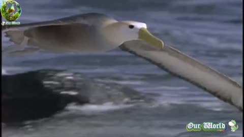 TakeOff Mode - Original Flight