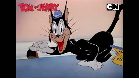 Funny Tom and Butch Join Forces! _ Tom _ Jerry