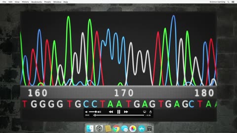 Stephen Meyer Unmasks The Coding Of Human DNA