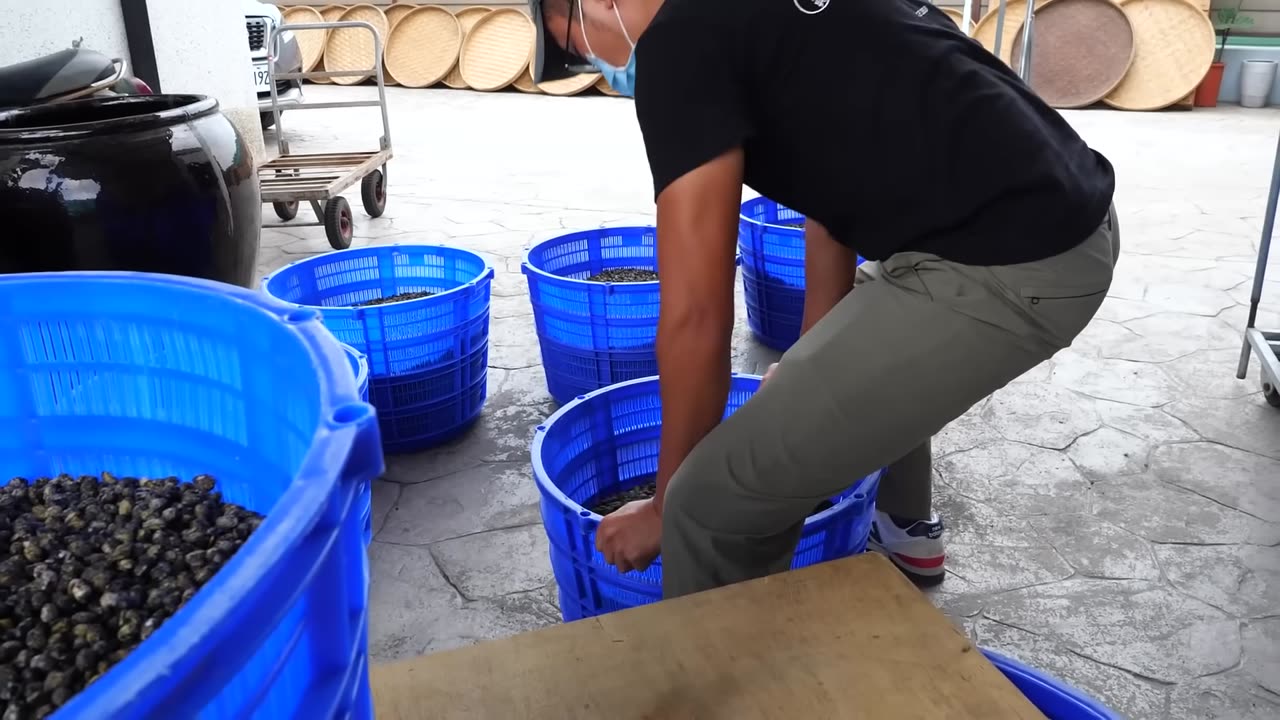 Traditional Soy Sauce (Black Soybean) Making - Taiwanese Soy Sauce Factory