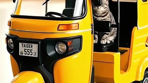 TAIGER on TUK TUK fail scene #aicat