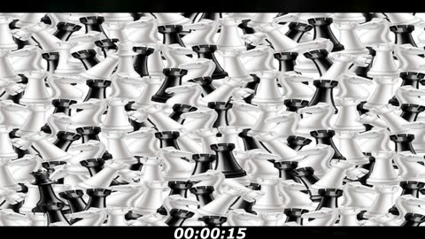 Chess puzzle: Can you find the 2 queens among all this others chess pieces?