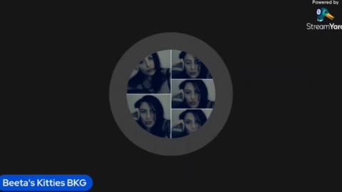 Beeta's Kitties Has Mental Breakdown on Her Mod