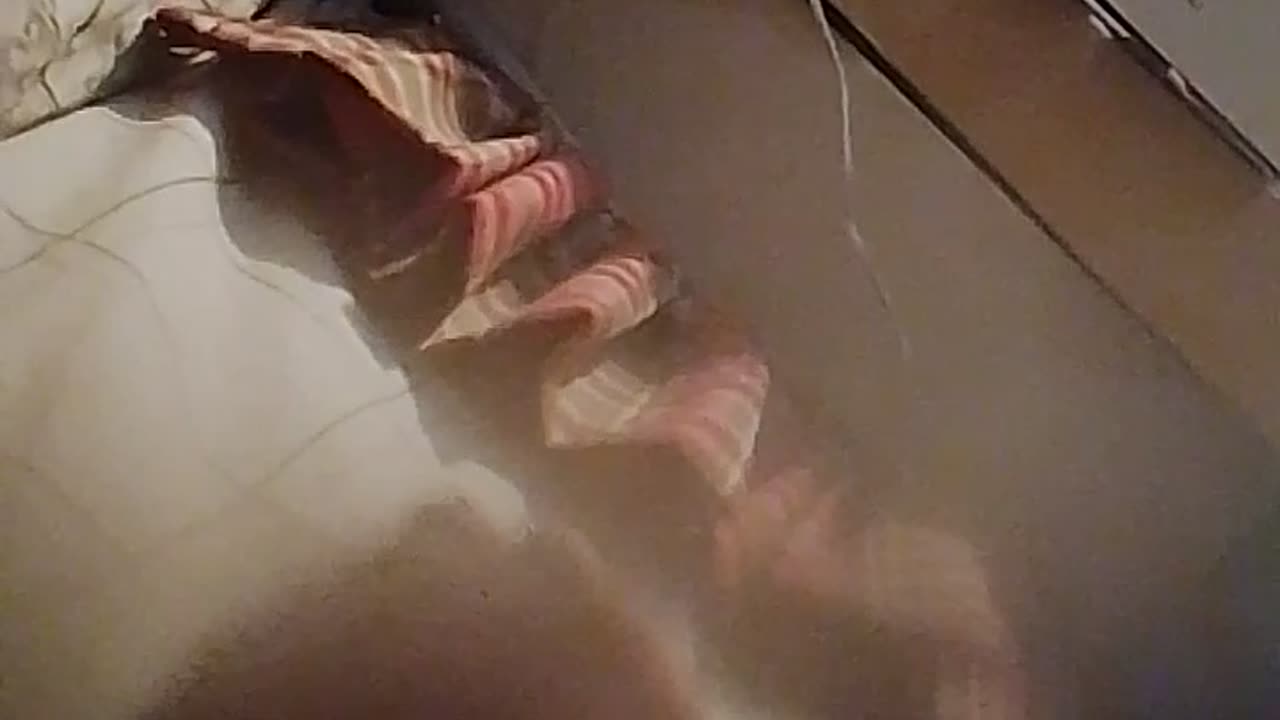 Drinking the Halloween mountain dew candy flavor