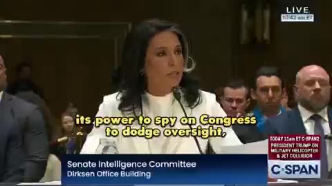 Tulsi Gabbard Explains Resistance to Confirmation: 'I Refuse to Be a Puppet'