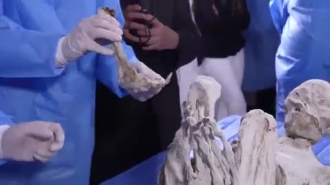 😮👽 First Look at Humanlike Tridactyl Flesh! | TheTruthAbove