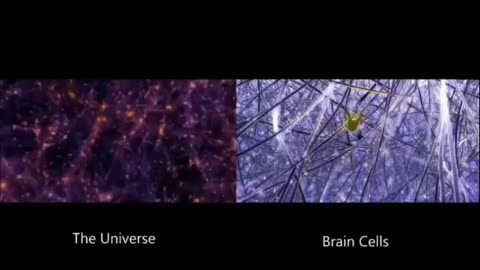 Pay attention to the intricate patterns of your existence that you take for granted.