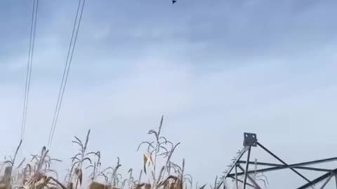 🔥🚀 Ukraine Russia War | Bombardment Escalates, US Readies Tomahawk Strikes | RCF