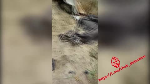 After the battle near Aleksandrovka