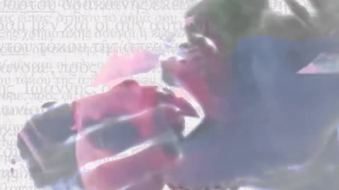 The Bitch is Back (Let the Sunshine In)