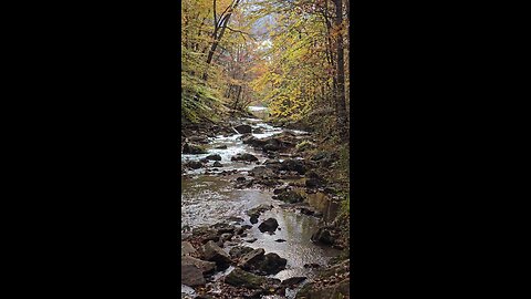 Mile Of Fall Creek With Fall Colors