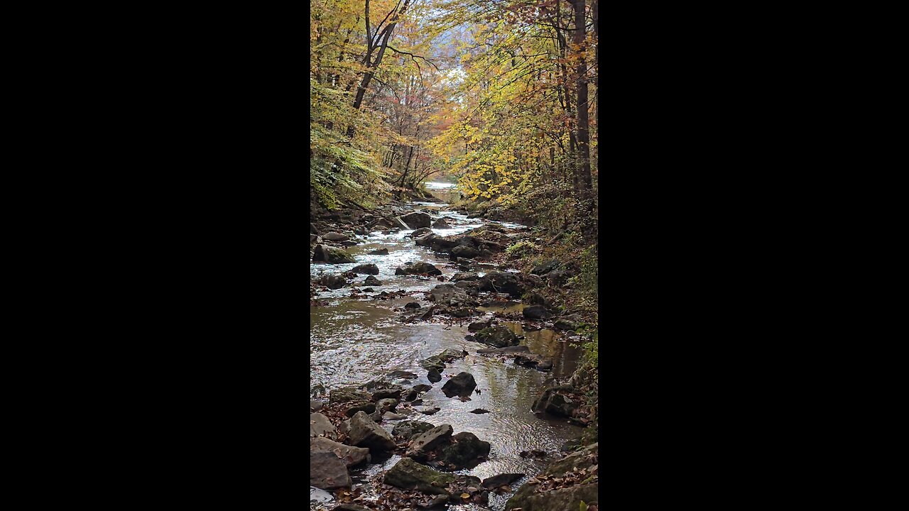Mile Of Fall Creek With Fall Colors
