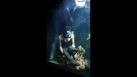 hand feading by elia