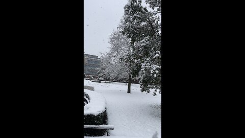 Snow snow oncaar