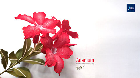 Adenium Crepe paper flower making in Simple steps | DIY | Flower making