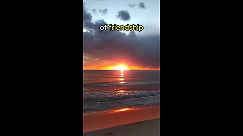 Friendship...