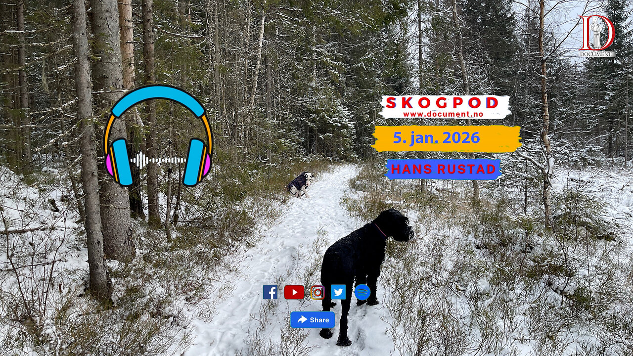 Skogpod 5. januar 2026