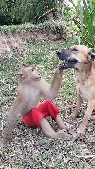 Awesome Video Best SokYaa, OG, Pao & Mom Are Famous Around The World #shorts #anime #trend #edit