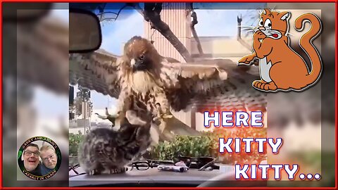 G&A 067 - Hungry Hawk, Oblivious Kitten