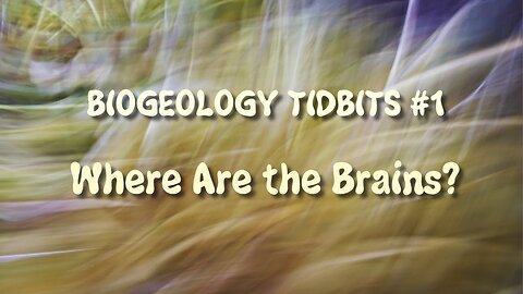 BIOGEOLOGY TIDBITS #1 - WHERE ARE THE BRAINS?