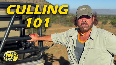 Why we cull game in Africa (and how it’s done responsibly)