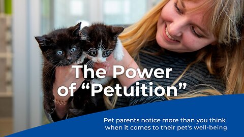 Pet parents look out for these behavior changes in their pets