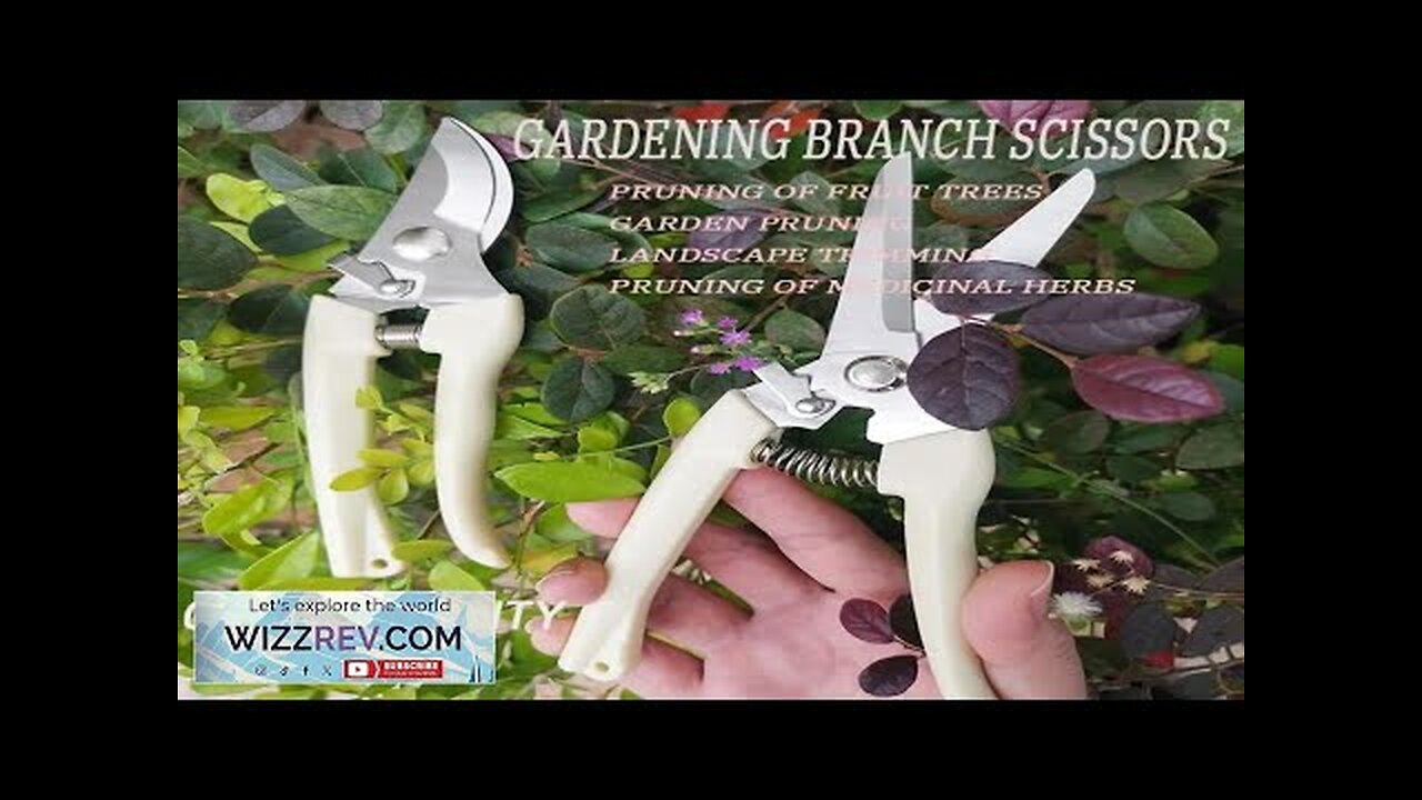 Stainless Steel Scissors Flower Cutting Flower Arrangement Pruning Fruit Tree Garden Branch Review