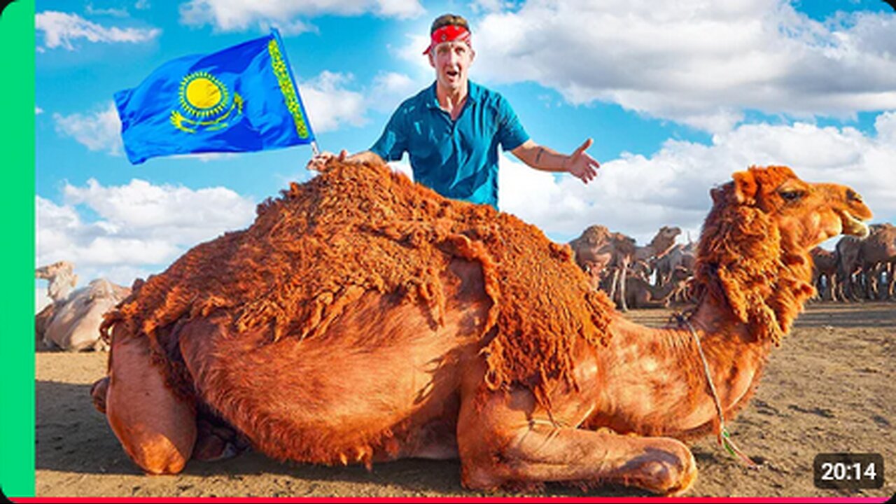 Butchering a 1,000 Pound Camel in Kazakhstan!!